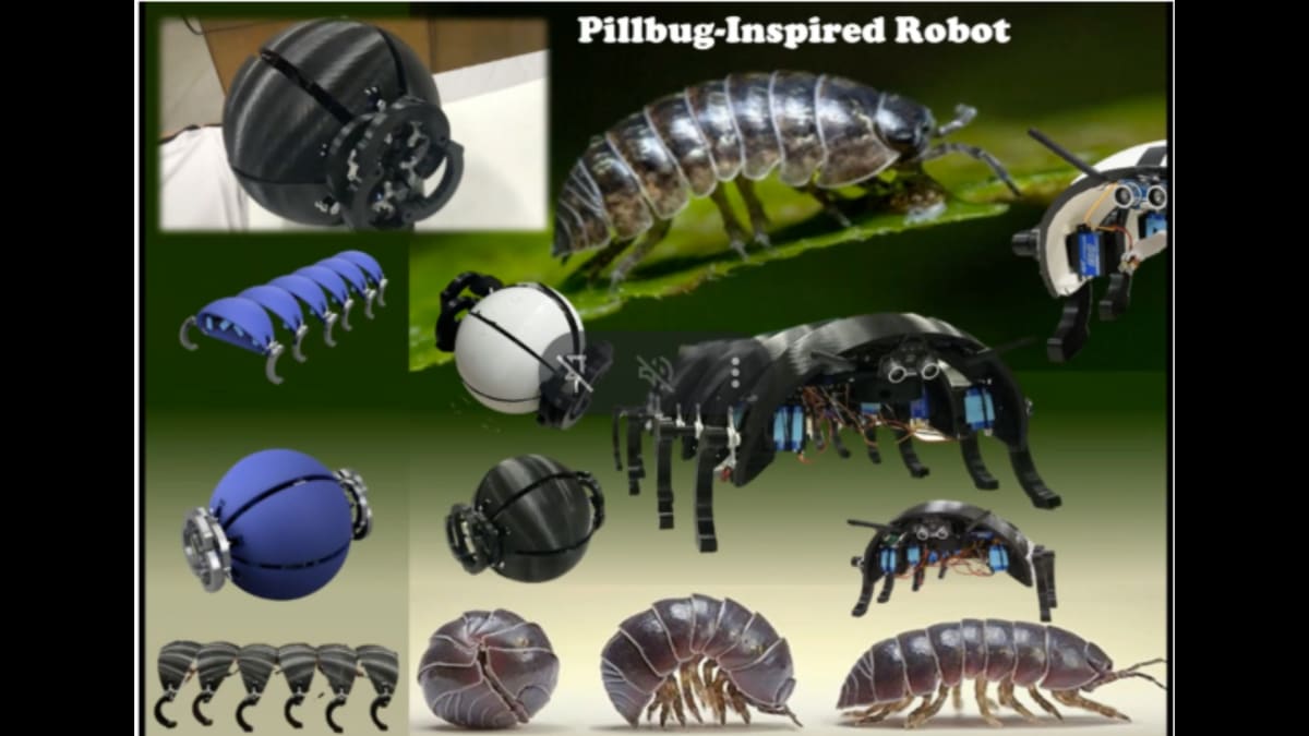 Scientists Design Tiny Dandelion Drones to Map Mars Caves - Image 4
