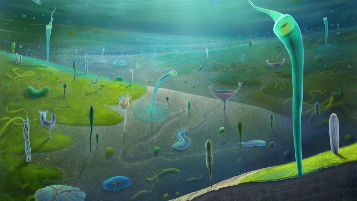 Artist reconstruction of ancient ocean floor showing diverse worm-like creatures and early jellyfish relatives from 550 million years ago
