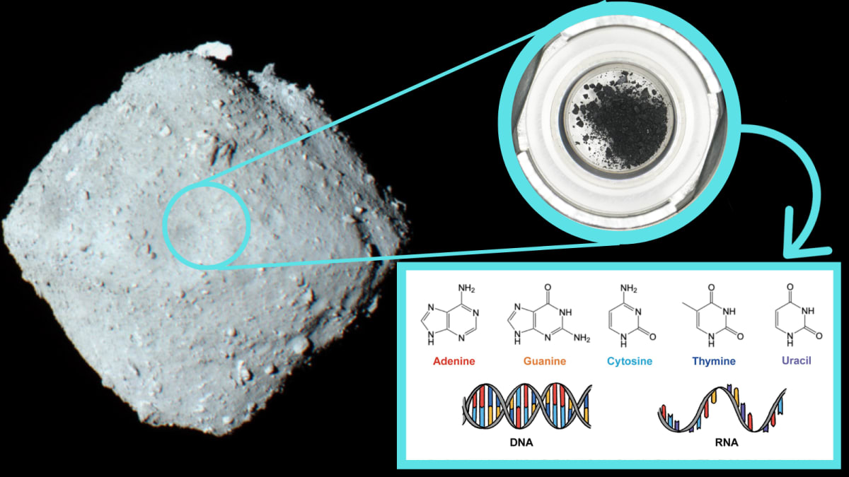 Asteroid Ryugu floating in space with collected sample material and DNA structure illustration