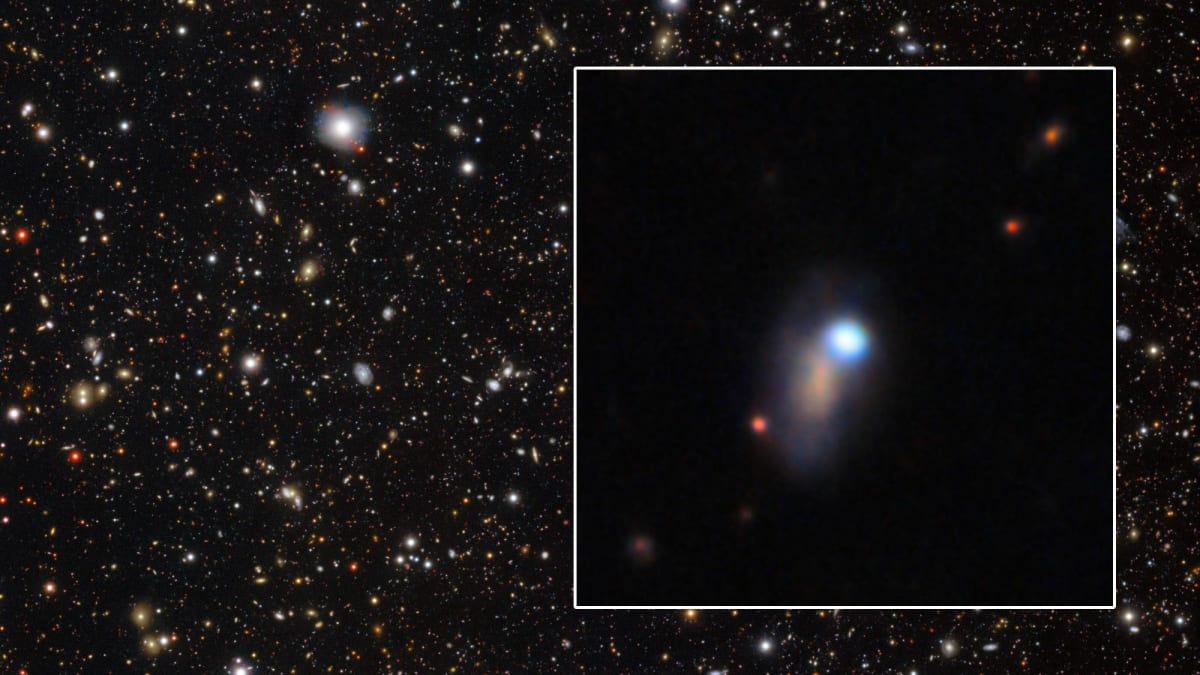 Astronomers Catch Rare First Flash of Dying Star Explosion