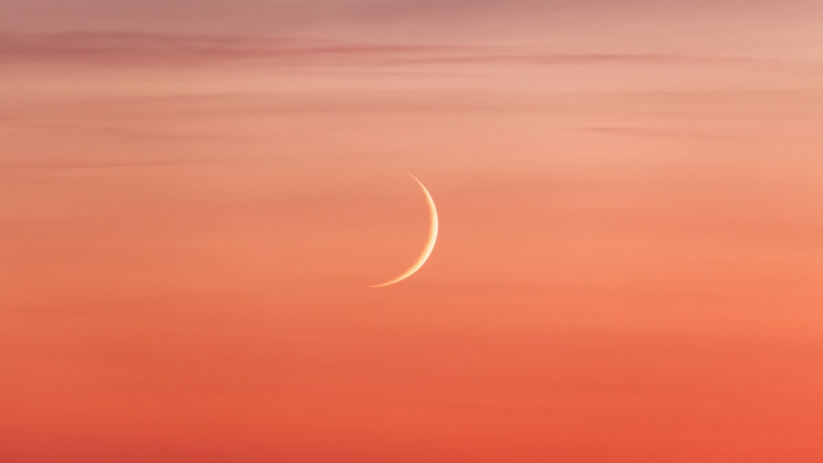 Venus and Young Moon Put on Rare March 19 Show - Image 2