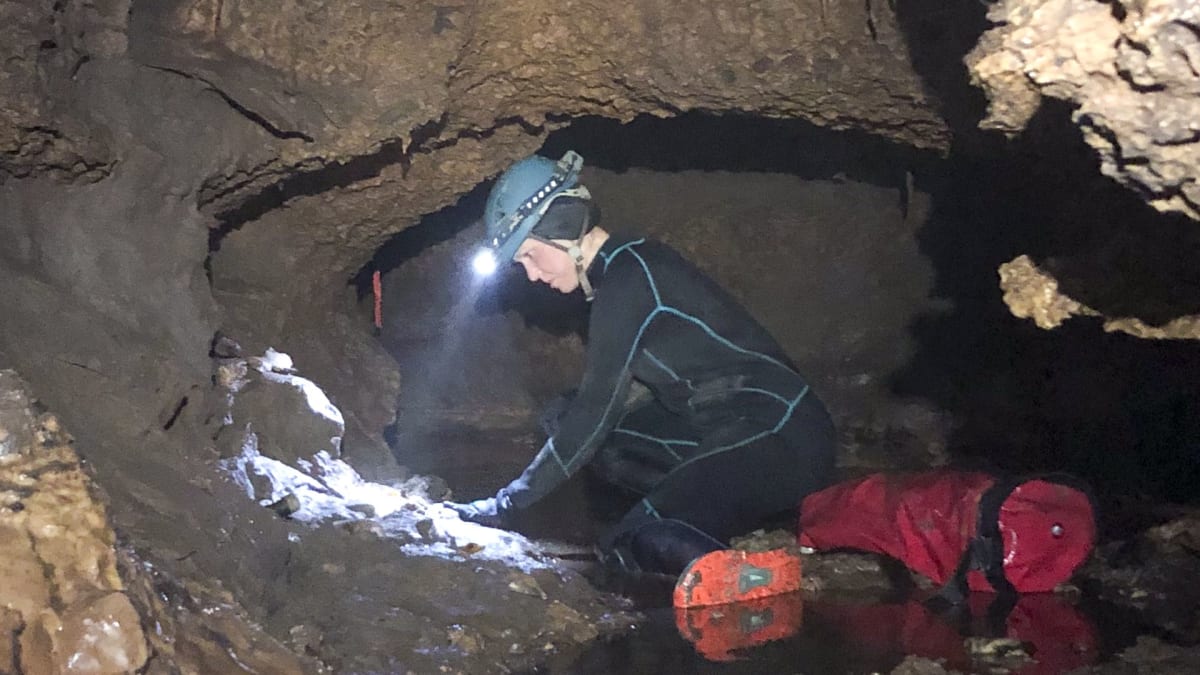 Ancient fossil bones including giant armadillo ancestor remains lying in muddy Texas cave stream