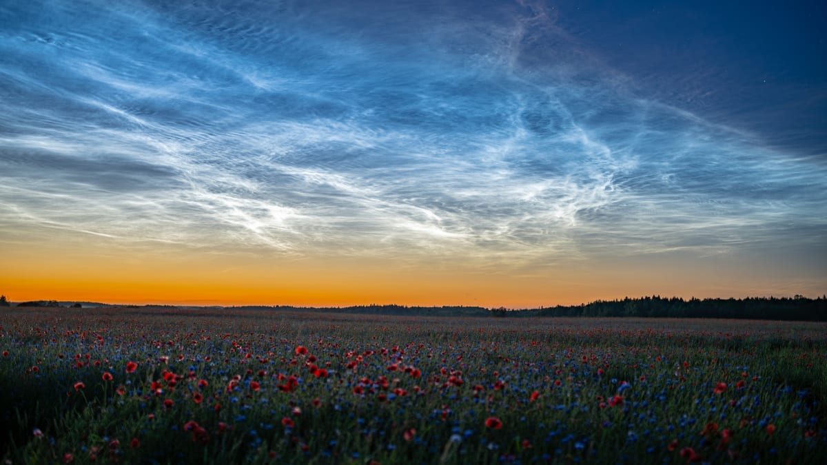 Rare Night-Shining Clouds Return for Summer Season - Image 3