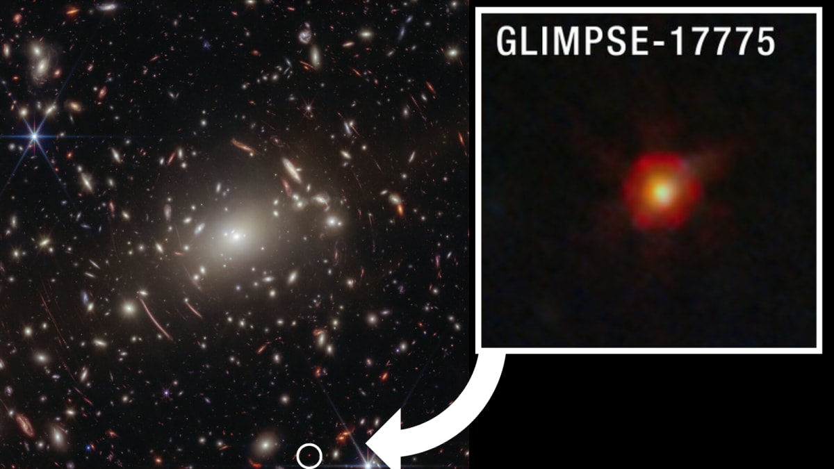 Scientists May Have Solved the 'Little Red Dots' Mystery - Image 2