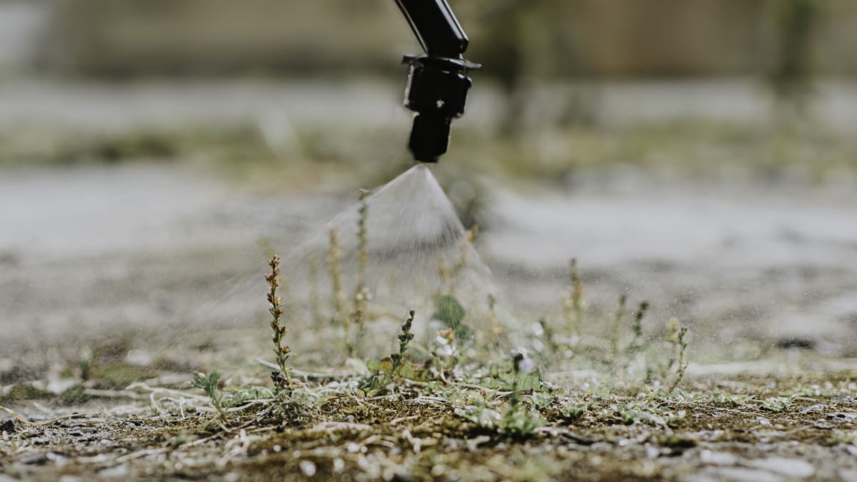 Nature Adapts Faster Than Scientists Expected, Study Finds - Image 3
