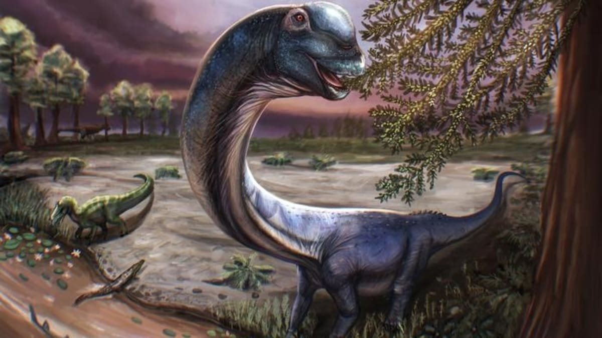 Thailand's 'Last Titan' Is Longest Dinosaur Ever Found in SE Asia - Image 2
