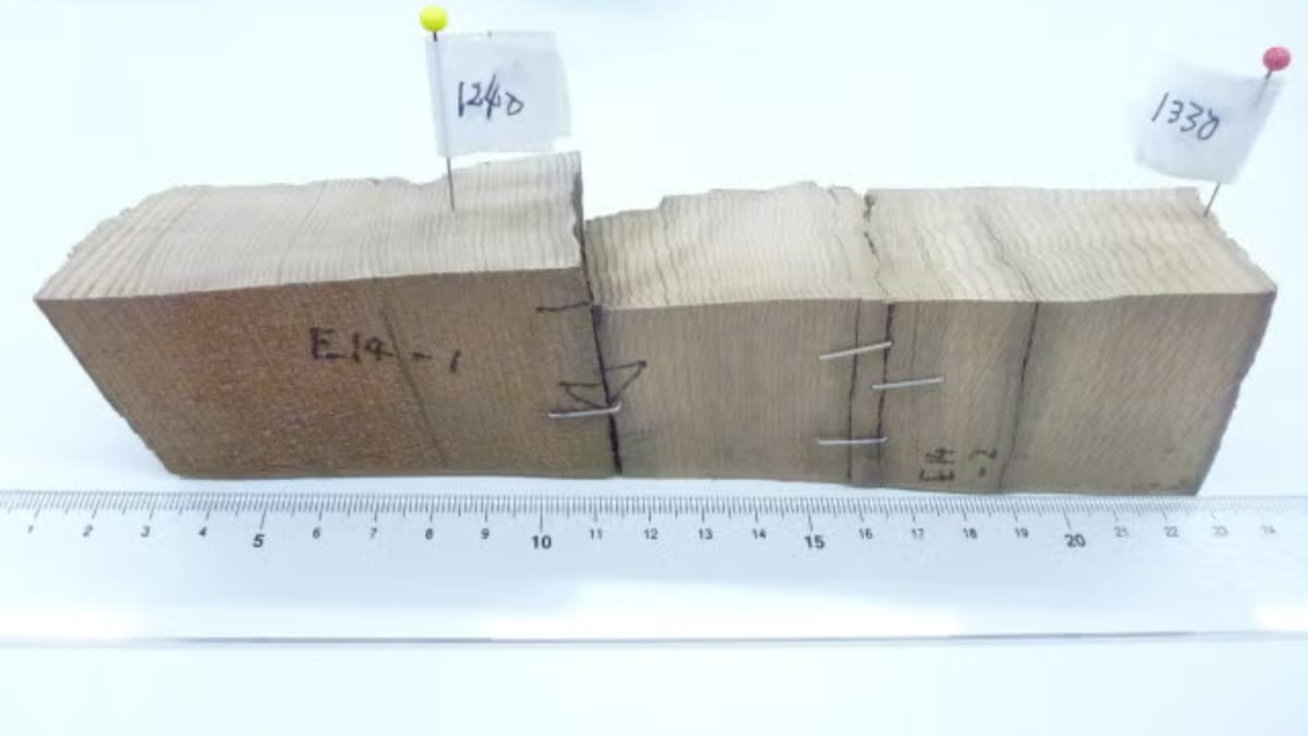 Tree Rings Reveal 825-Year-Old Solar Storm Secret - Image 3