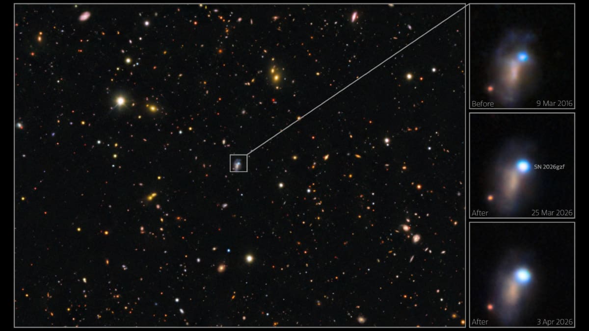 Astronomers Catch Rare First Flash of Dying Star Explosion - Image 3