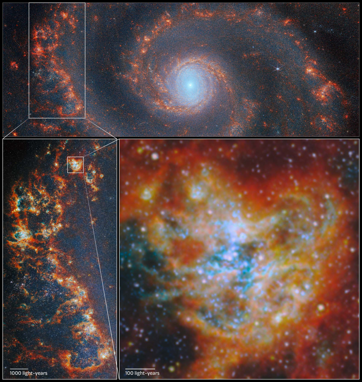 Giant Star Clusters May Have Reignited the Universe - Image 4
