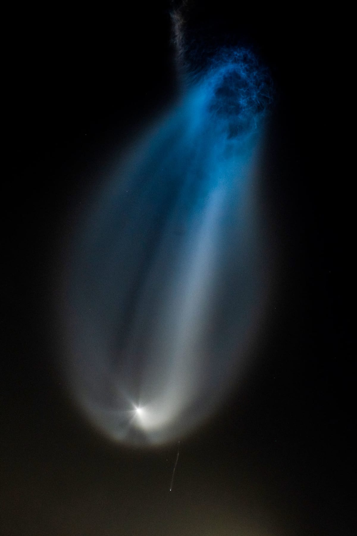 SpaceX Rocket Creates Stunning Jellyfish in Florida Sky - Image 4