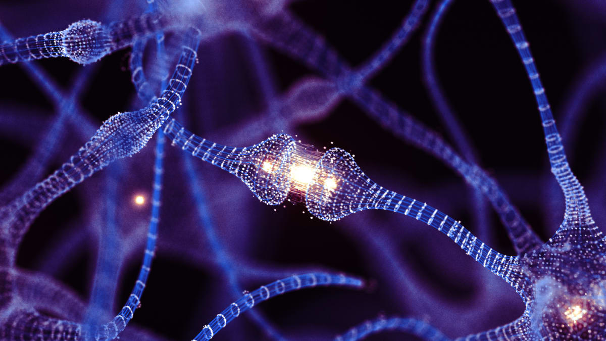 Printed Artificial Neurons Talk to Real Brain Cells - Image 3
