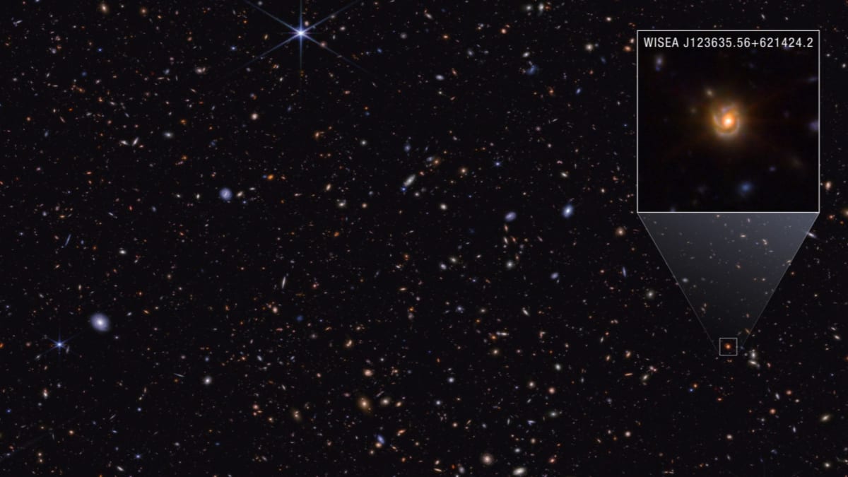 Scientists Solve Mystery of Webb Telescope's 'Red Dots - Image 3