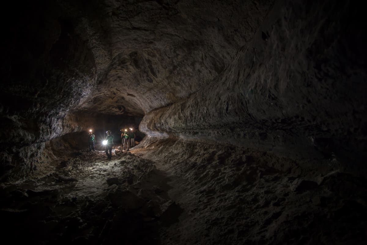 Scientists Design Tiny Dandelion Drones to Map Mars Caves - Image 3