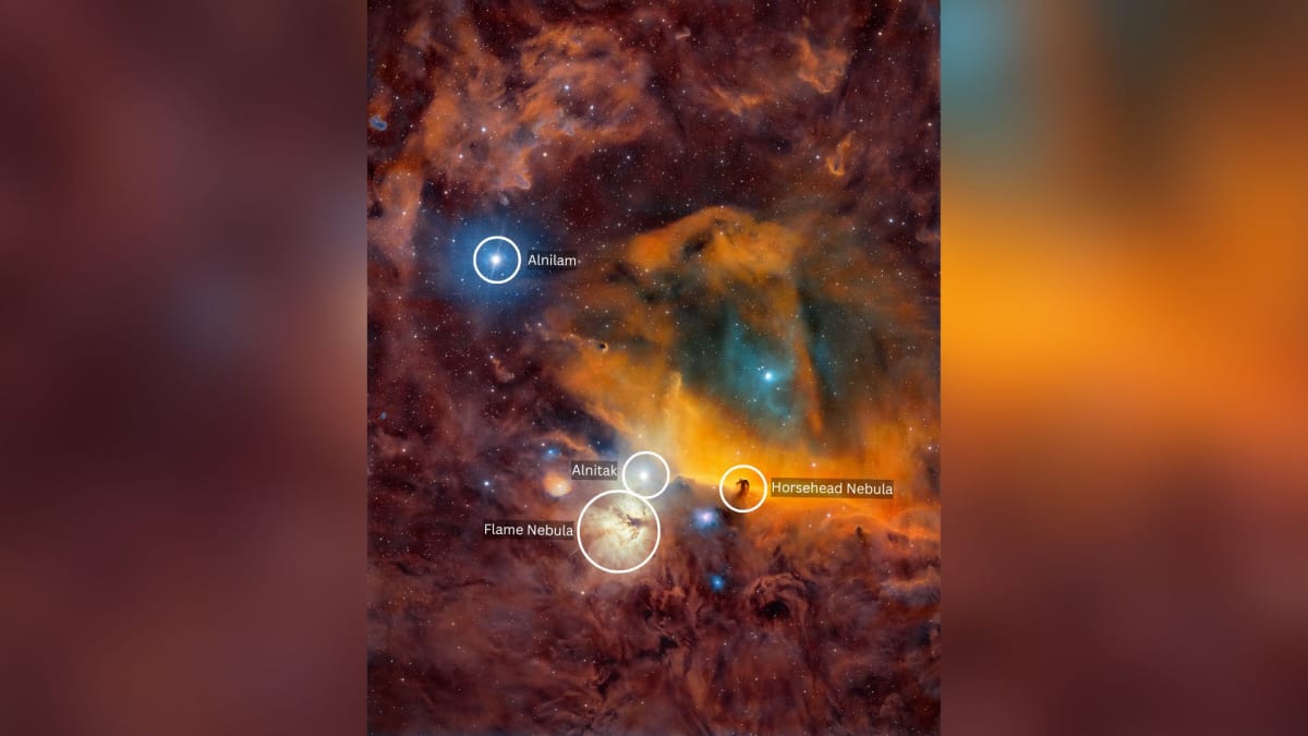 Backyard Astronomer Spends 115 Hours Capturing Space Magic - Image 4