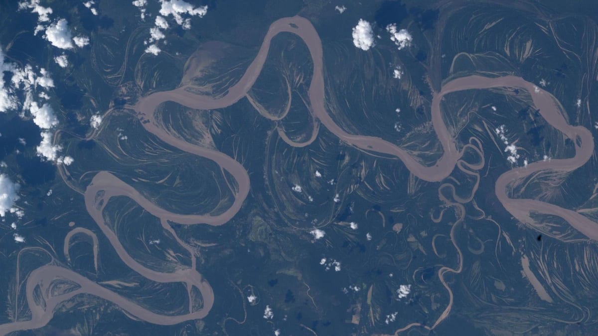 Astronaut's Photo Shows Amazon River From Space Station