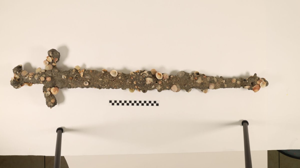 Ancient barnacle-encrusted iron sword from 12th century Crusades lying on examination table