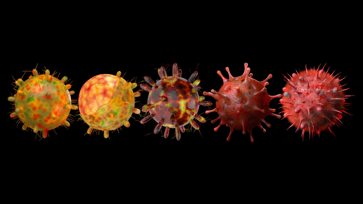 Scientists Create Nasal Spray to Fight Flu, COVID, and More - Image 3