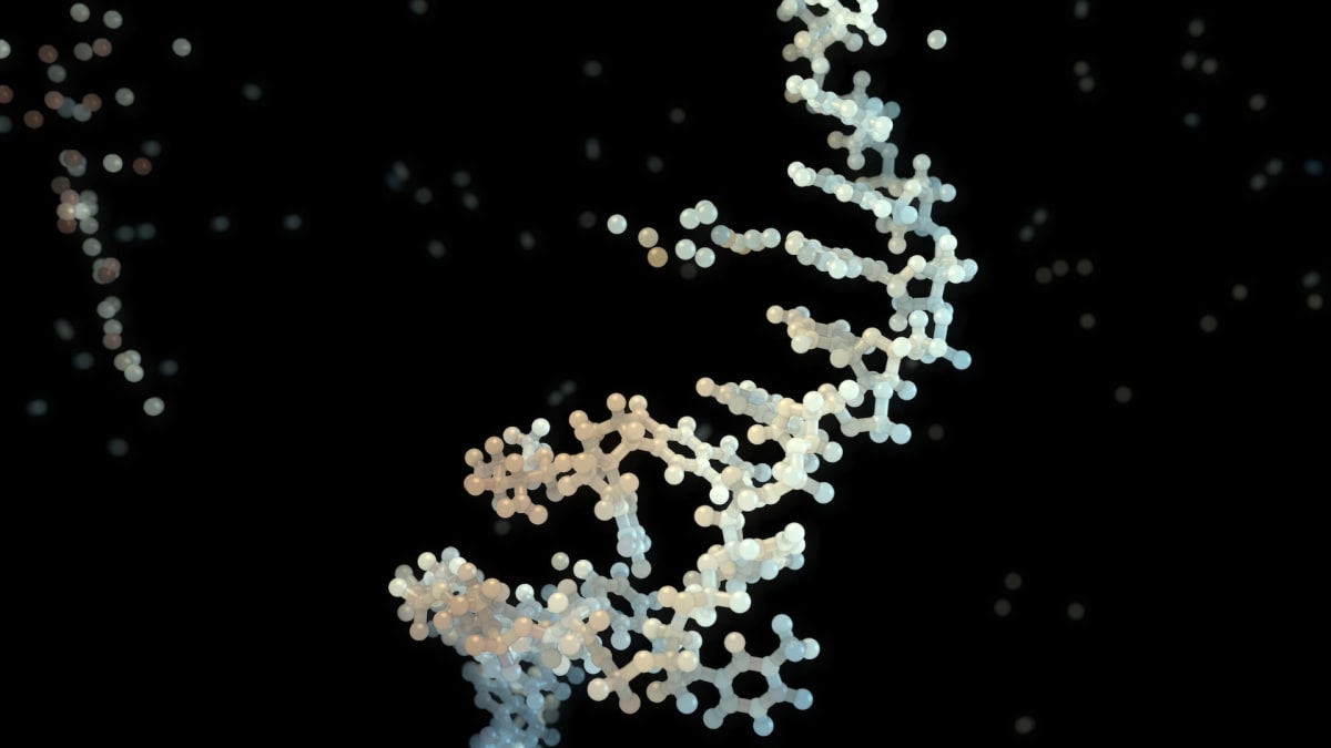 DNA Computer Solves Problems in a Drop of Water - Image 3