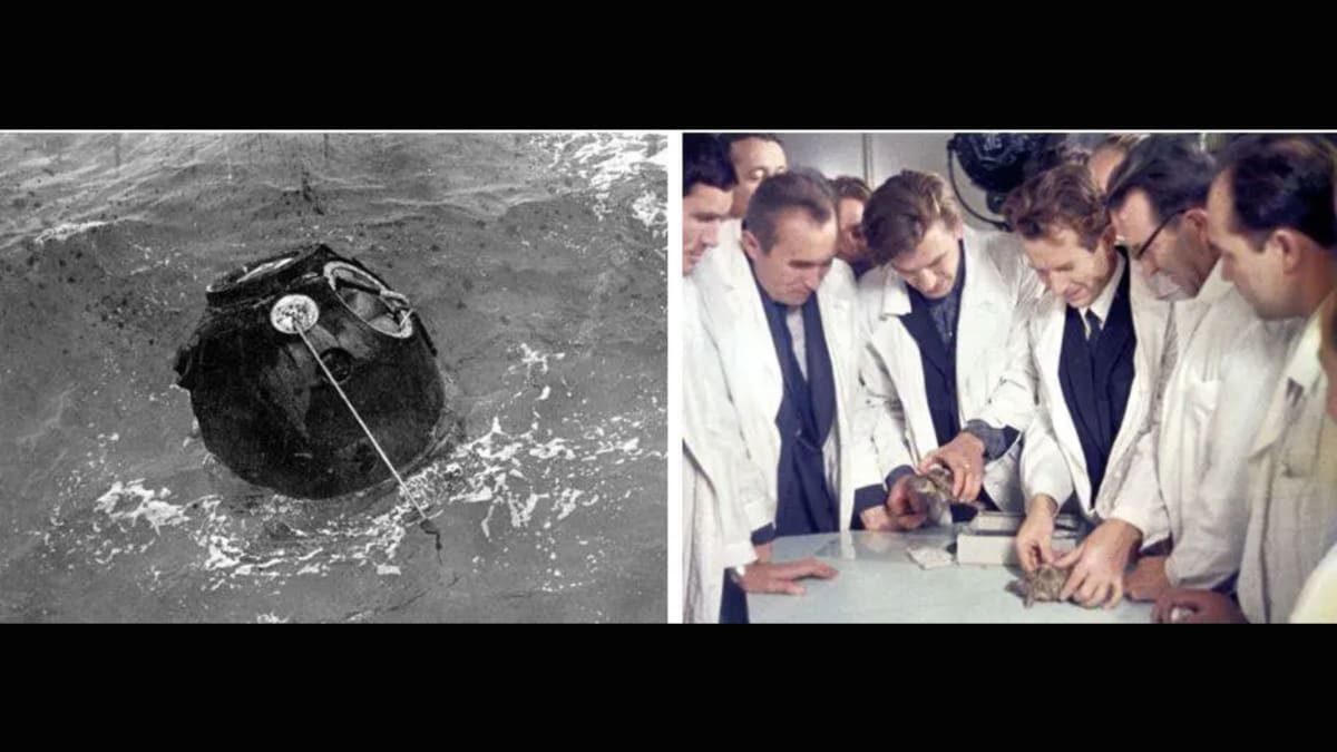 Space Tortoises Circled the Moon in 1968 and Came Home Safe