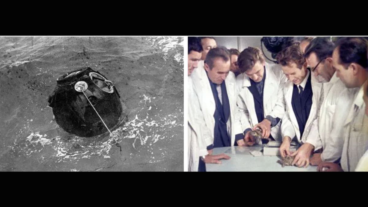 Space Tortoises Circled the Moon in 1968 and Came Home Safe - Image 2