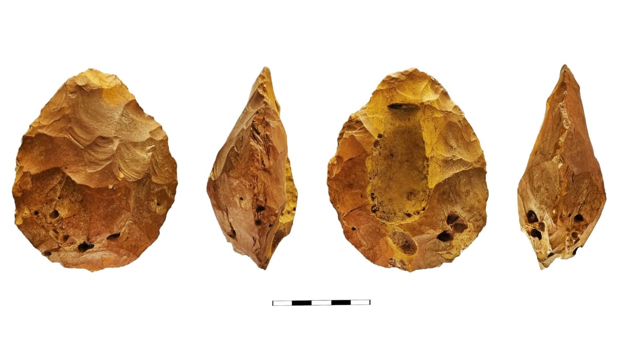 Ancient Humans Treasured Fossils 500,000 Years Ago - Image 4