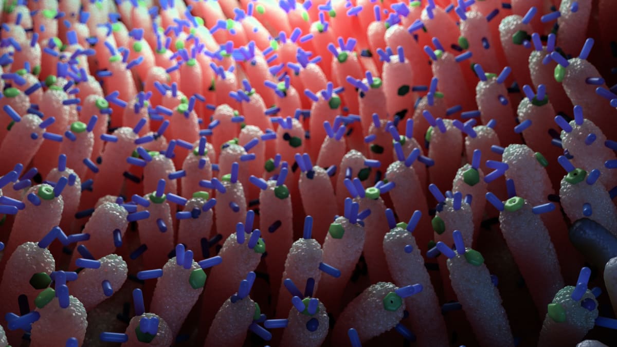 Scientists Create First 'Half-Möbius' Molecule - Image 4