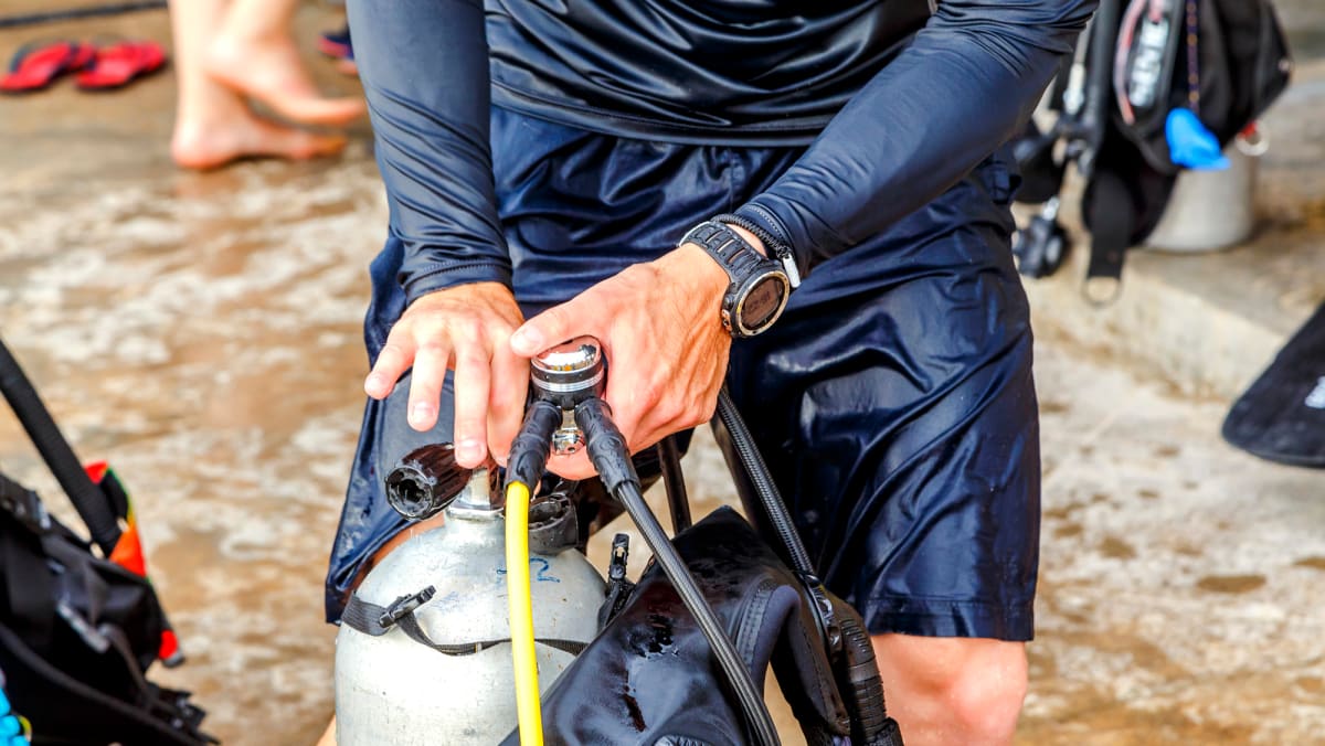 Pigs in Diving Suits Help Make Deep-Sea Dives Safer - Image 3