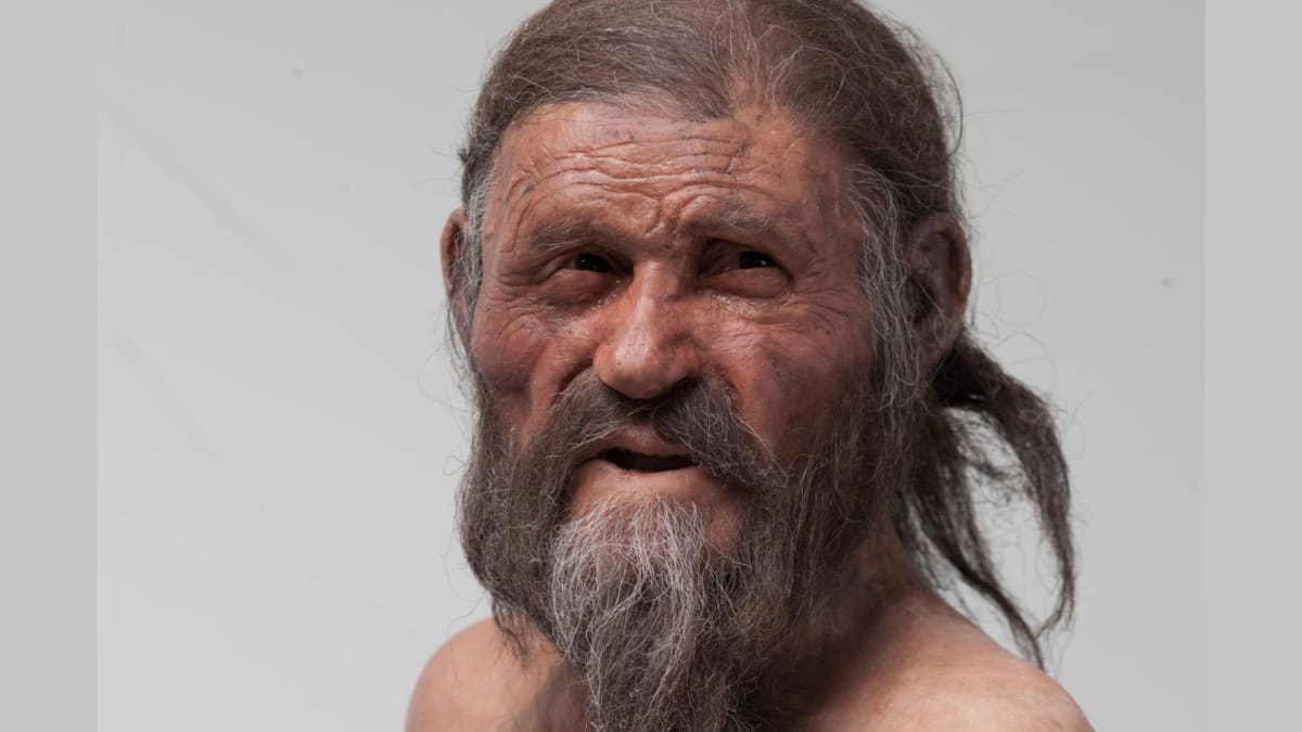 Scientists Bake Sourdough From 5,300-Year-Old Mummy Yeast