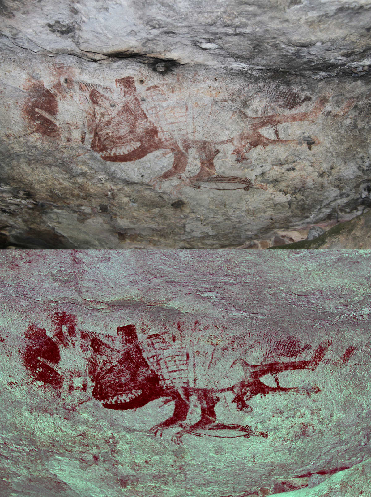 Ancient Rock Art Shows Tasmanian Tigers Lived 2,000 Years Longer - Image 4