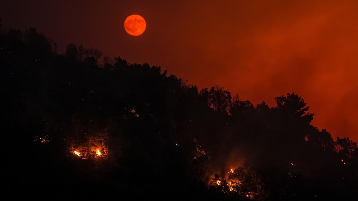 Buck Moon Dazzles Skywatchers Across the Globe - Image 3