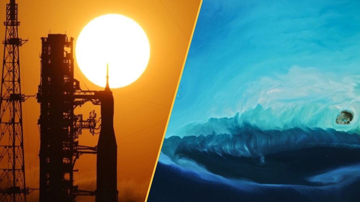 Gut Bacteria Boosts Muscle Strength 30% in New Study - Image 4