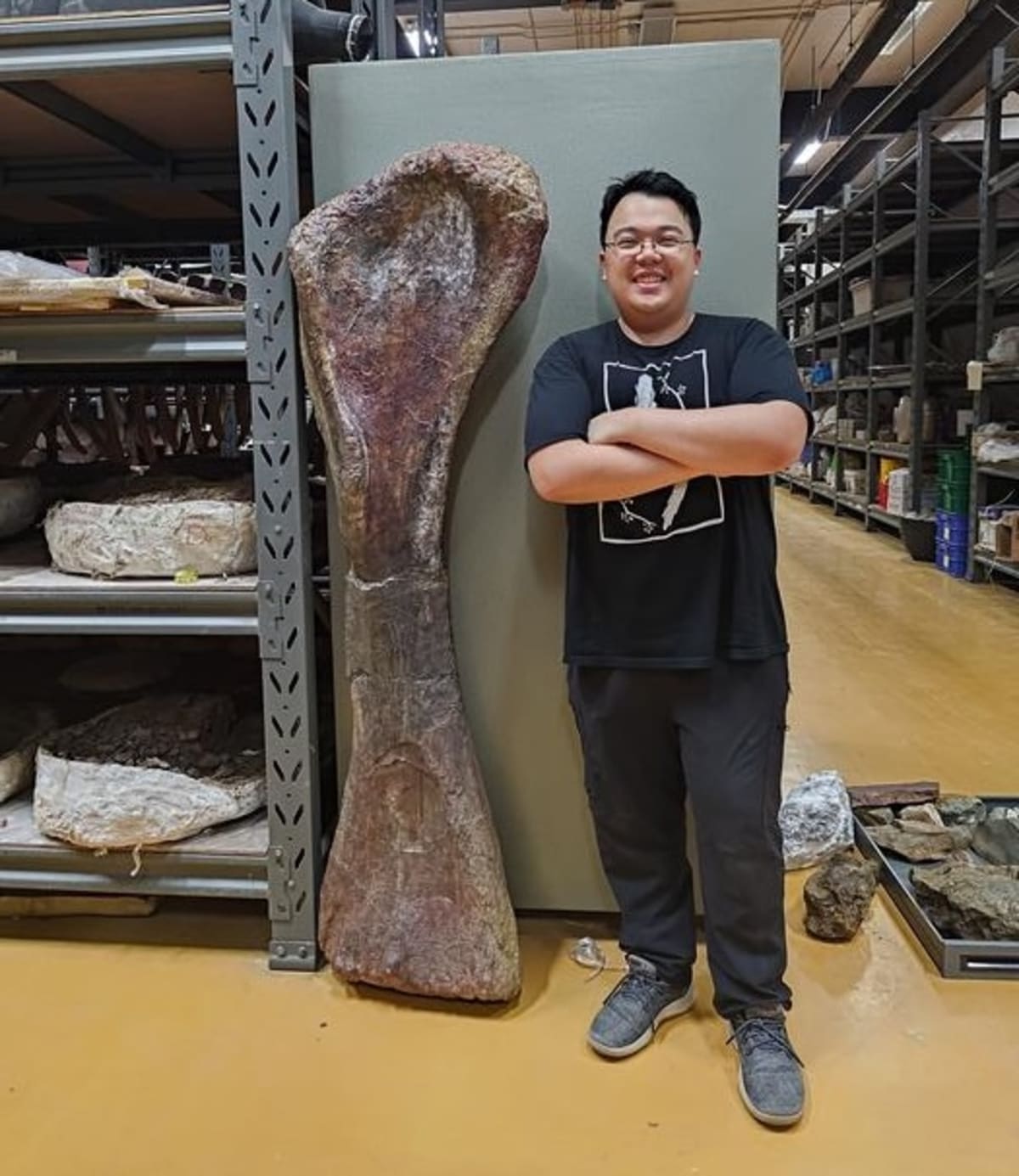 Thailand's 'Last Titan' Is Longest Dinosaur Ever Found in SE Asia - Image 3