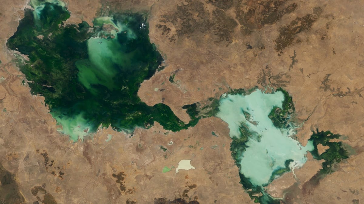 Australian Lakes Merge Into 55-Mile Green Wonder