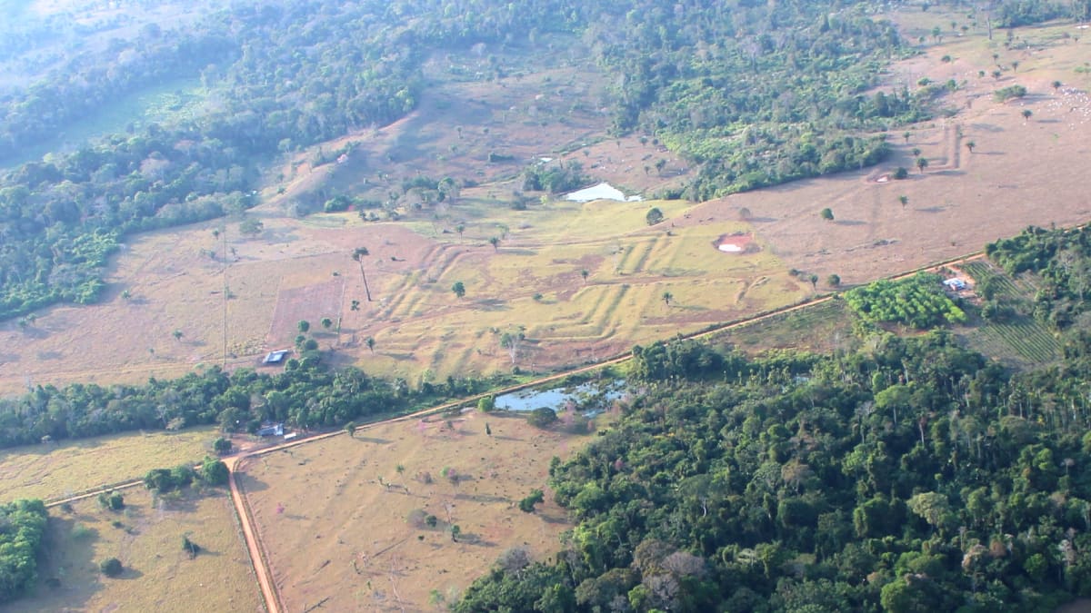 Lasers Reveal Lost Amazon Civilization From 2,500 Years Ago - Image 5