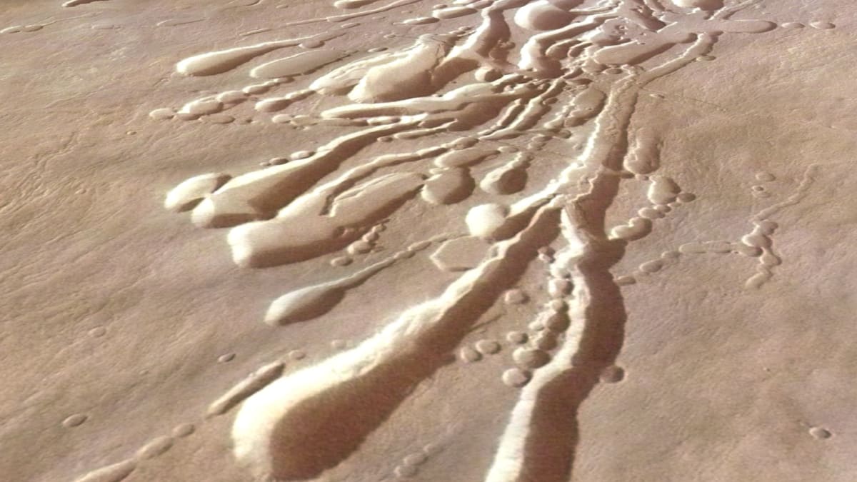Scientists Design Tiny Dandelion Drones to Map Mars Caves - Image 2