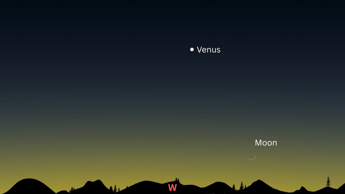 Venus and Young Moon Put on Rare March 19 Show - Image 3