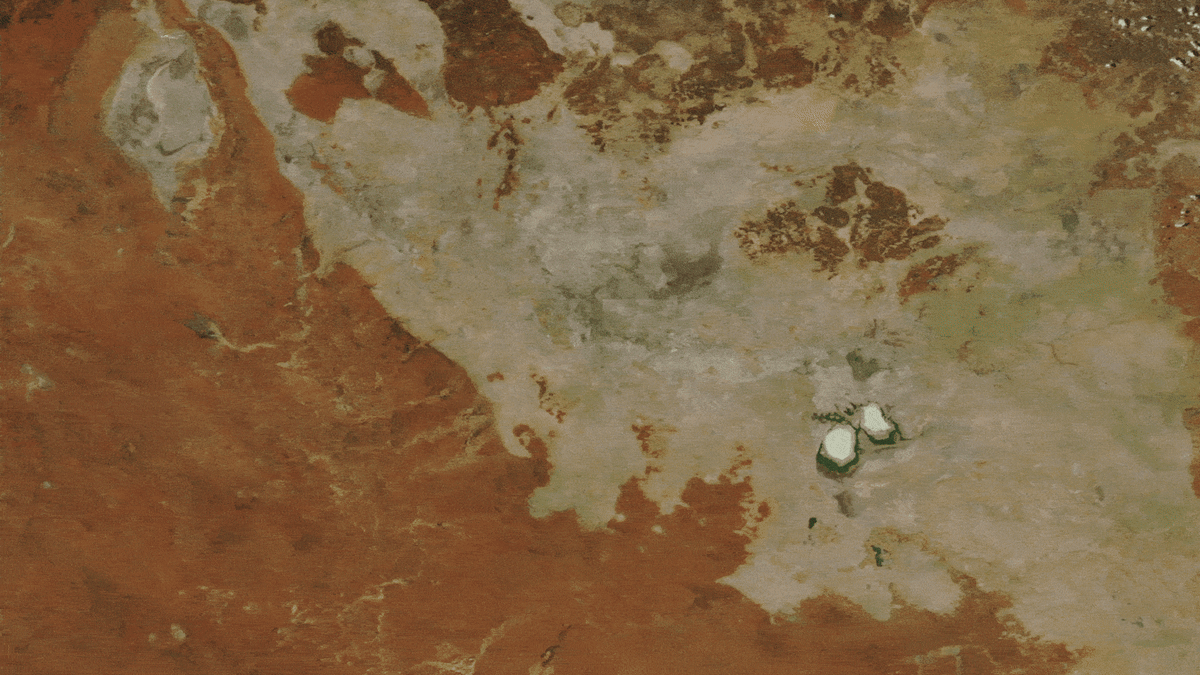 Australian Lakes Merge Into 55-Mile Green Wonder - Image 3
