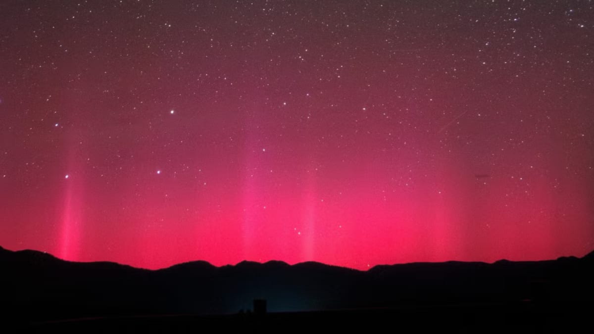 Tree Rings Reveal 825-Year-Old Solar Storm Secret - Image 2