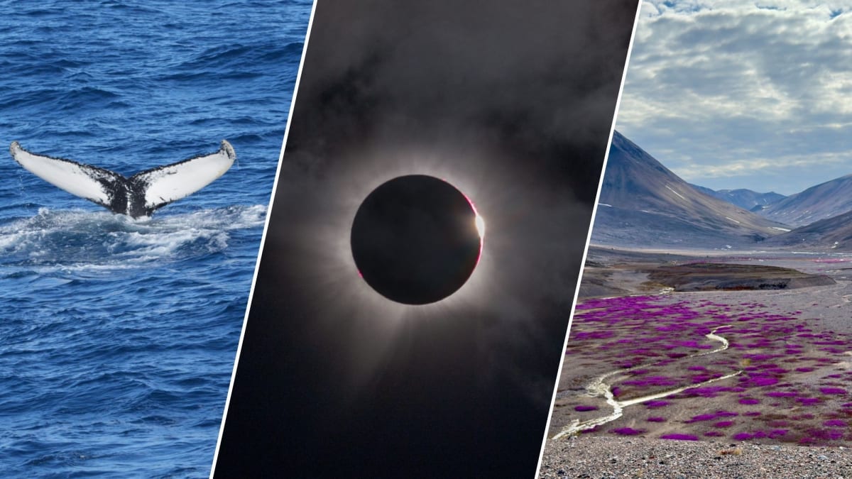 Greenland Eclipse Reveals More Than 2 Minutes of Darkness