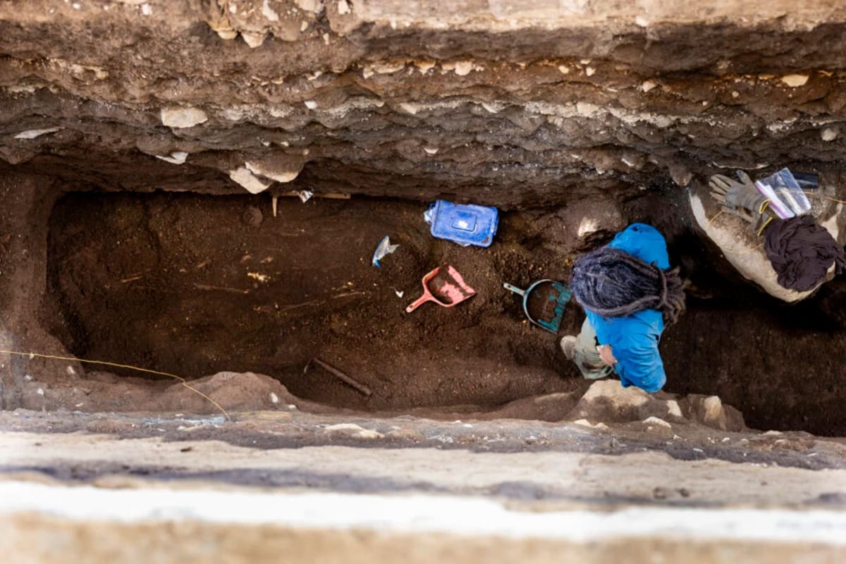 ** Archaeologist carefully excavating ancient skeleton buried face-down with ceramic sea turtle vessel in El Salvador