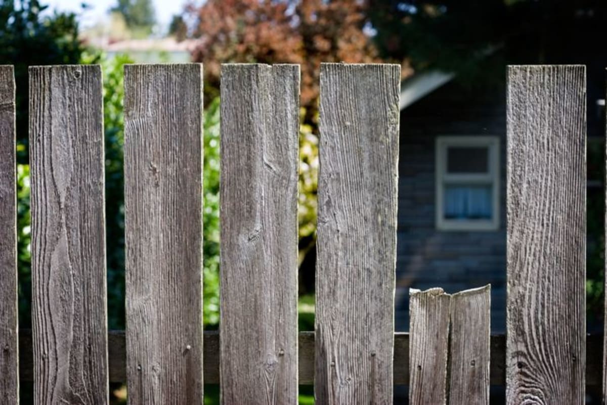 Neighbors greeting each other warmly on a tree-lined residential street in Madison, Wisconsin