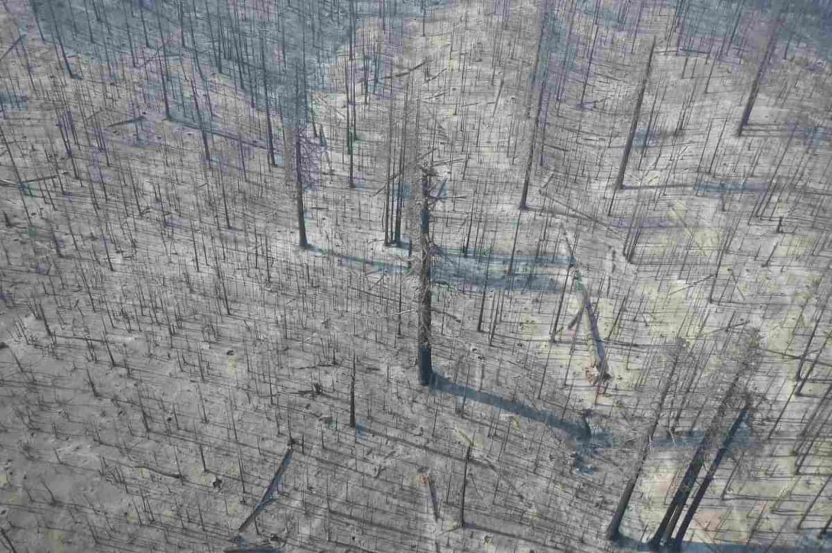 U.S. Wilderness Protection Gets Climate-Smart Upgrade - Image 4