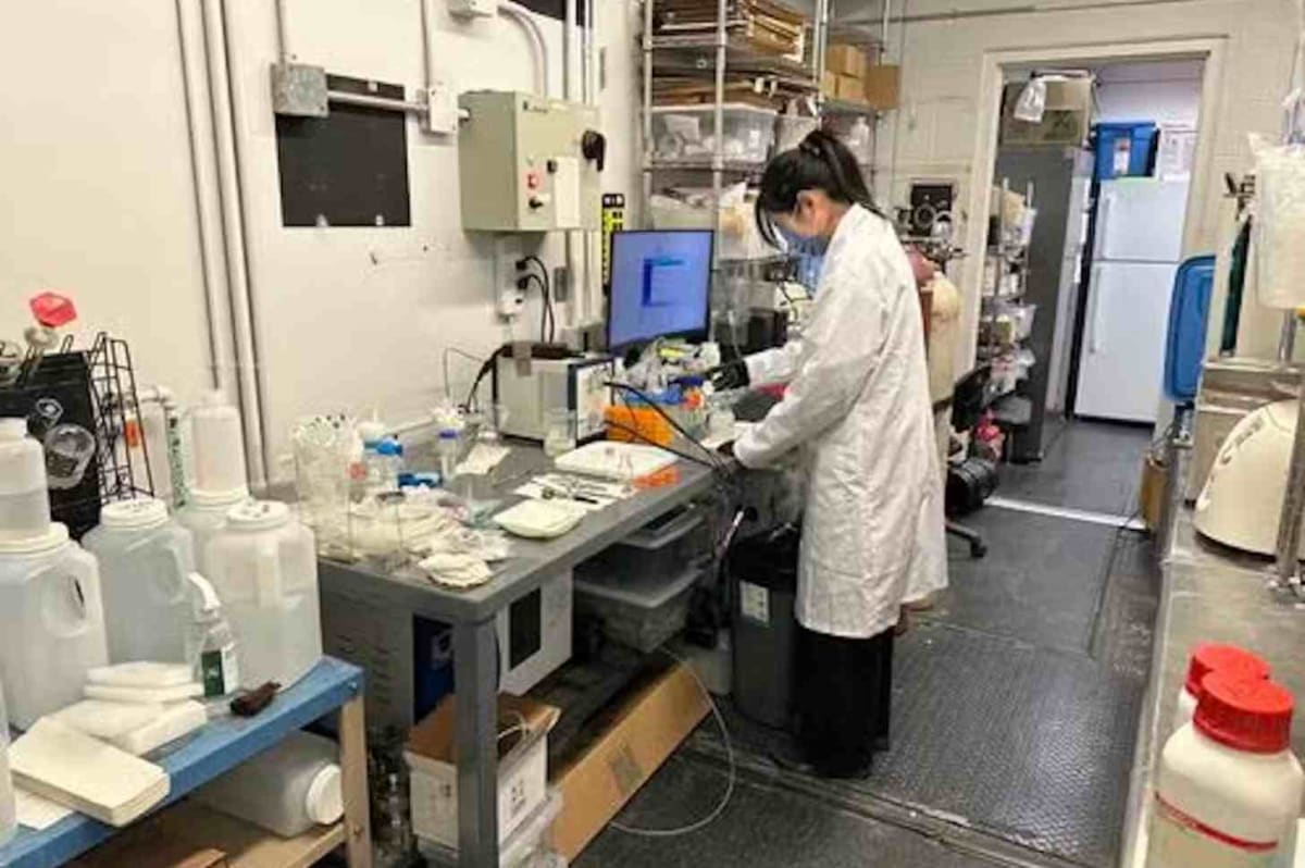 Scientists Turn Plastic Waste Into Vinegar Using Sunlight - Image 3