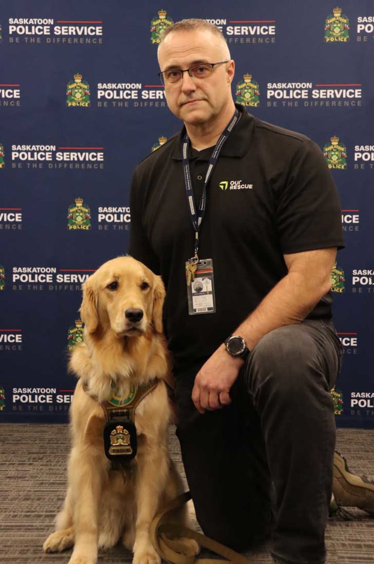 Golden Retriever Taffy Sniffs Out Tech in Child Crime Cases - Image 2