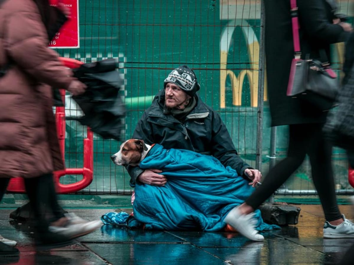 California's $15M Pet Program Housed 886 Homeless People - Image 2