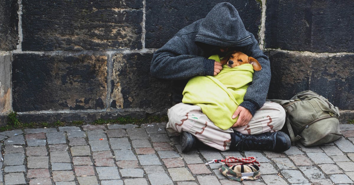 California's $15M Pet Program Housed 886 Homeless People