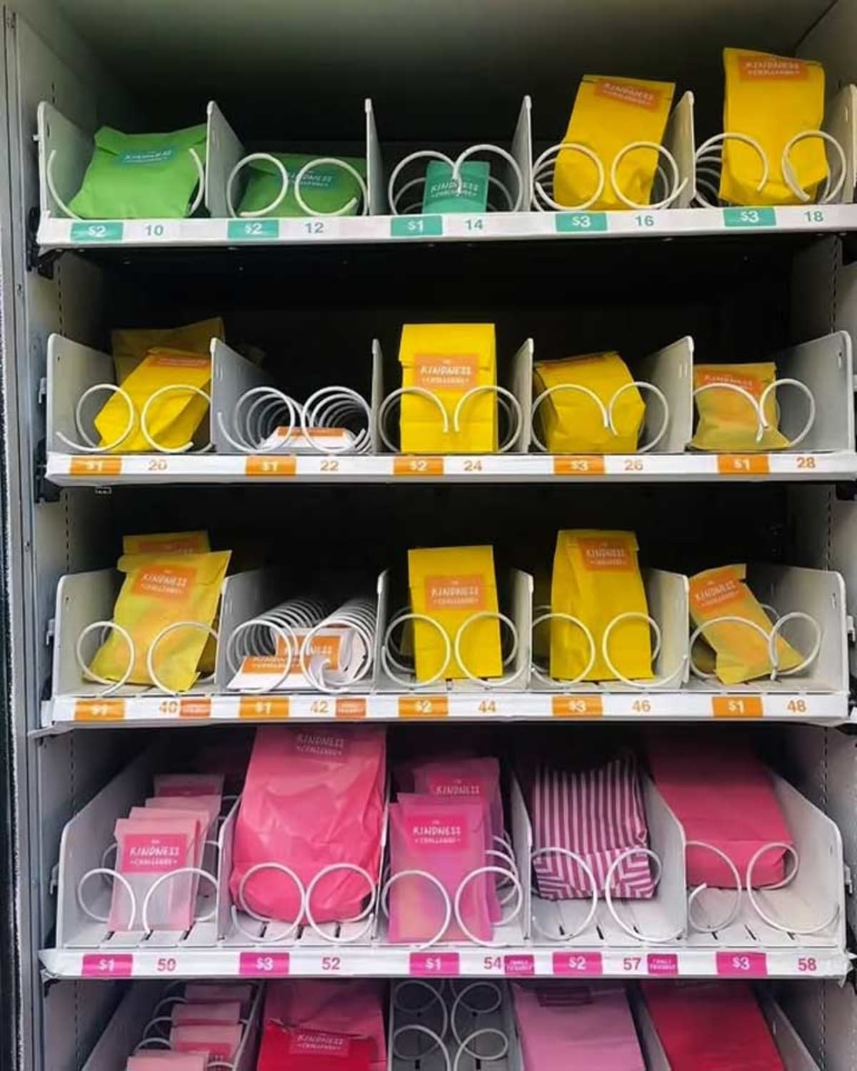 Michigan Artist Turns Vending Machine Into Kindness Dispenser - Image 4