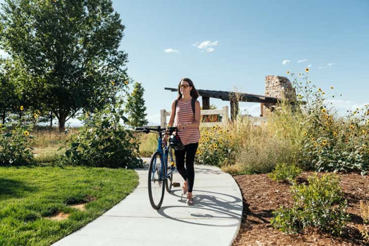 Colorado Suburb Doubles as America's First Pollinator Haven - Image 3