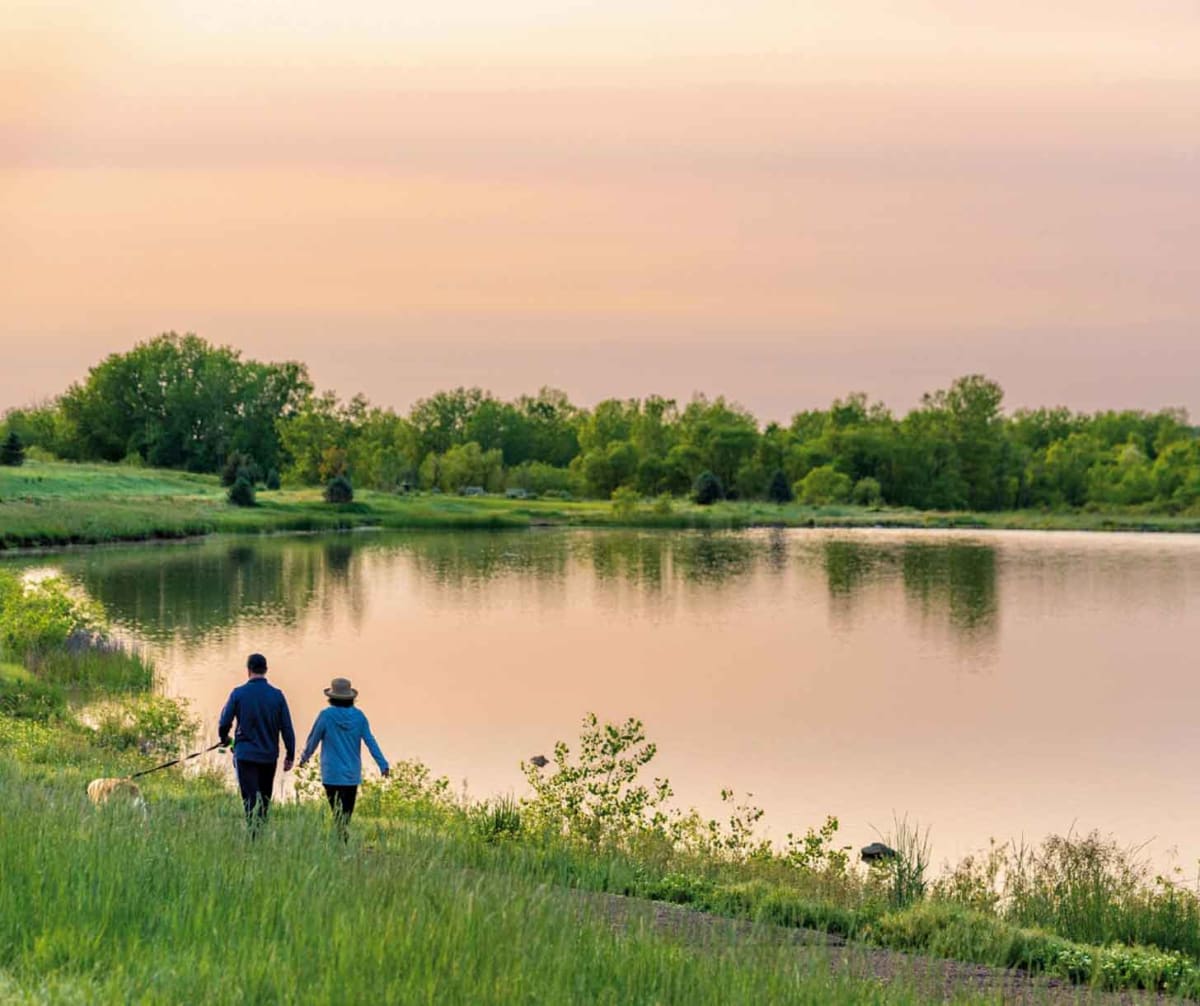 Colorado Suburb Doubles as America's First Pollinator Haven - Image 5