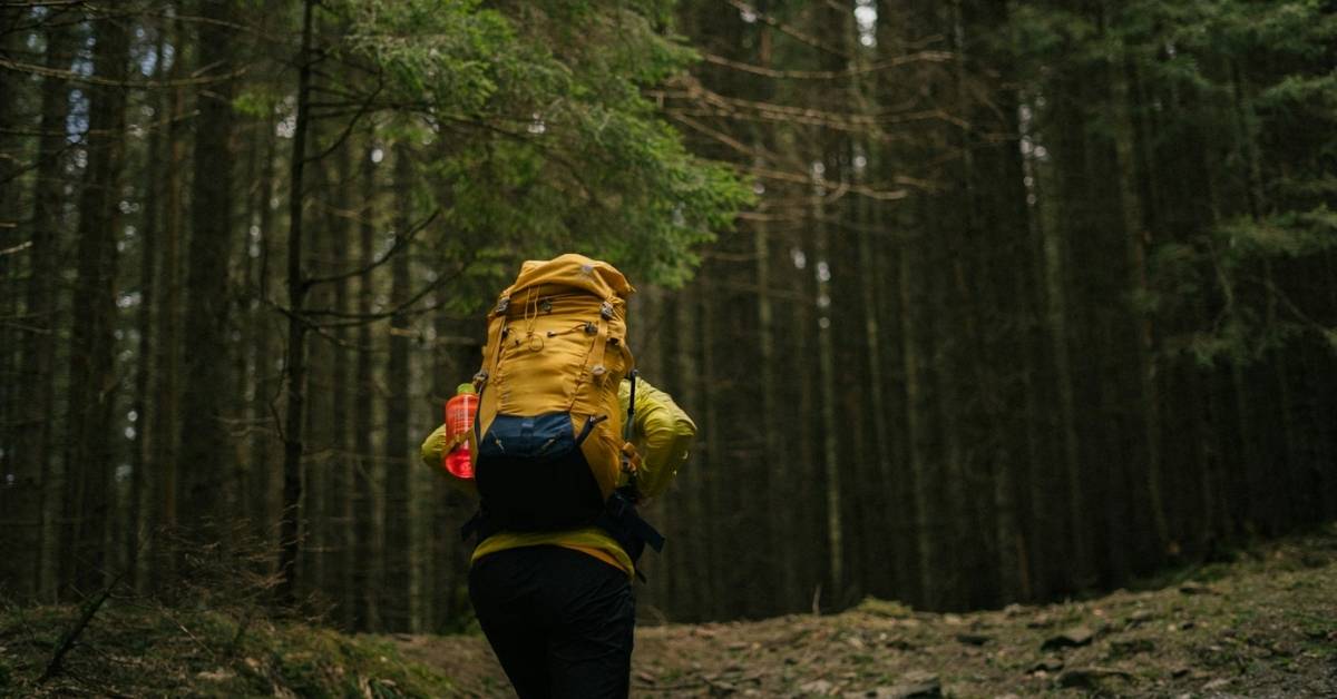 Person sitting peacefully in nature surrounded by green forest and natural sunlight